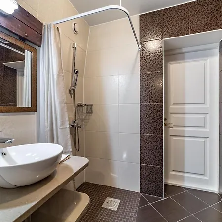 Apartman Roofs Of The Old