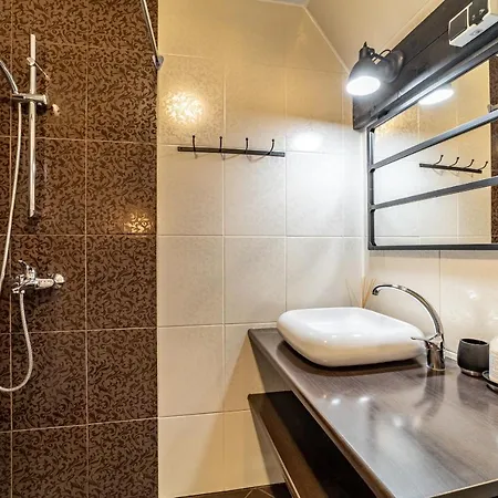 Roofs Of The Old Apartman *