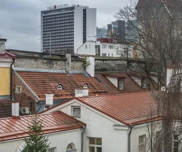 Apartment Roofs Of The Old