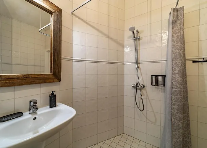 Roofs Of The Old Apartment *