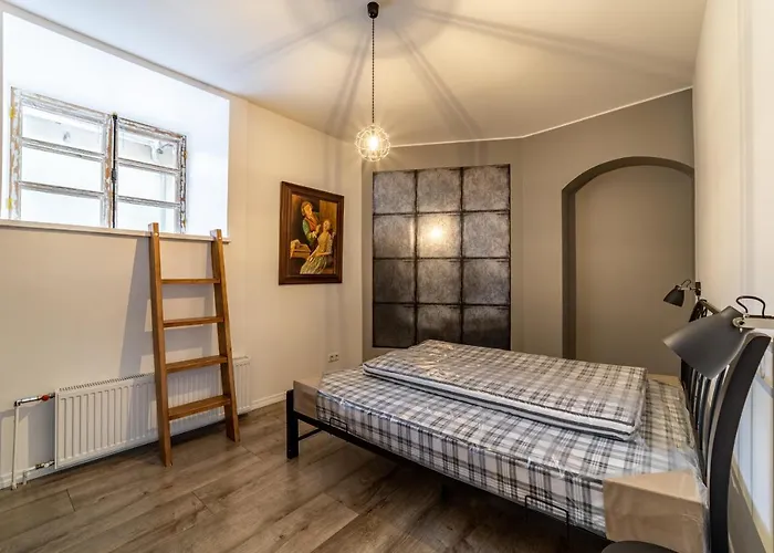 Roofs Of The Old Apartment