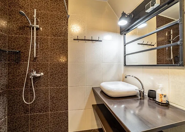 Roofs Of The Old Apartment *