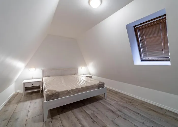 Roofs Of The Old Apartment *