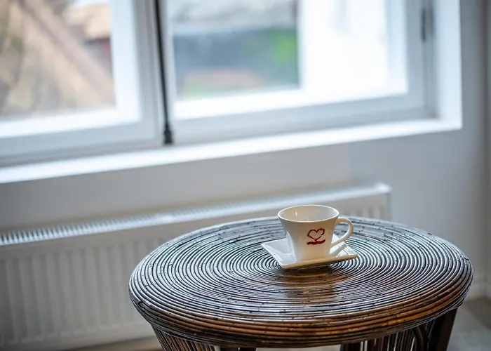 Roofs Of The Old Apartment