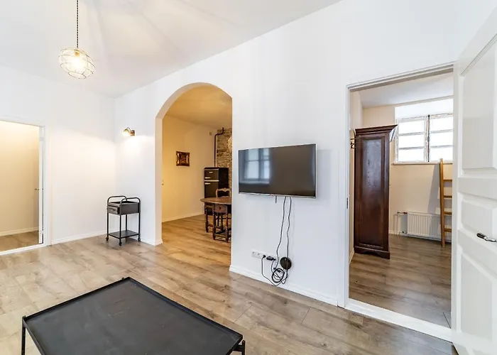 Roofs Of The Old Apartment *