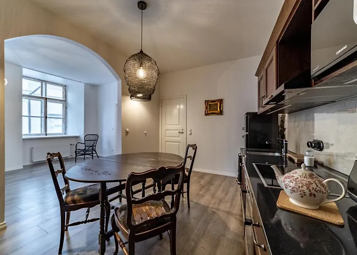 Roofs Of The Old Apartment Reval