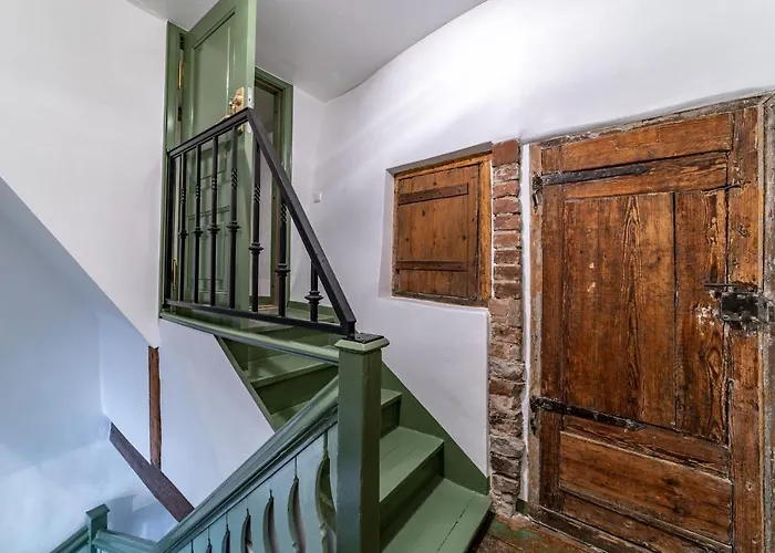 Roofs Of The Old Apartment *