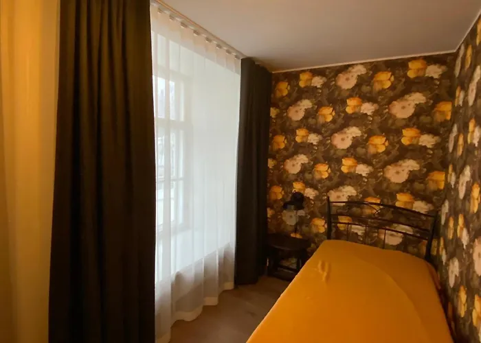 アパート Roofs Of The Old *