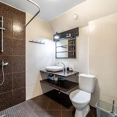 Roofs Of The Old 公寓