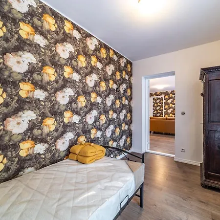 Roofs Of The Old 公寓 *