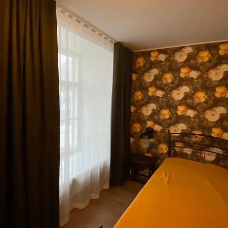 公寓 Roofs Of The Old *