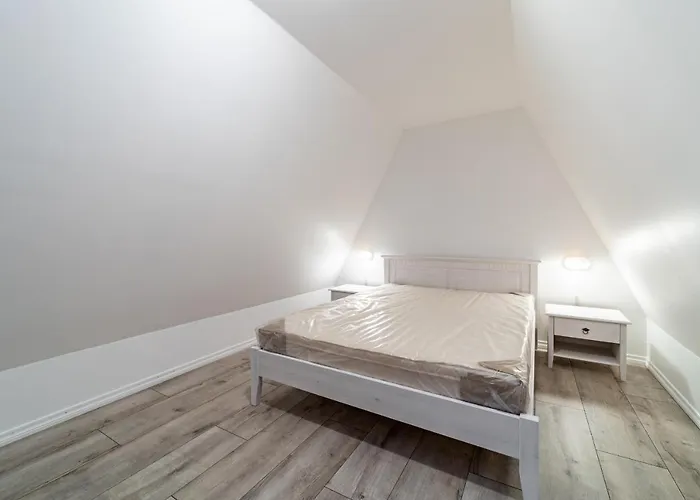 Roofs Of The Old Apartment Tallinn